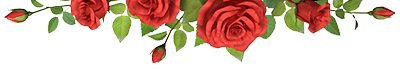 rose-border