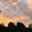 Soft fluffy clouds above Cathedral Rock at sunrise. View is from our property - Sedona Cathedral Hideaway BnB and Spa