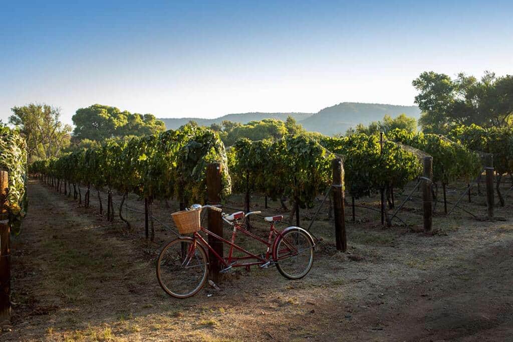 Wineries and Vineyards near Sedona