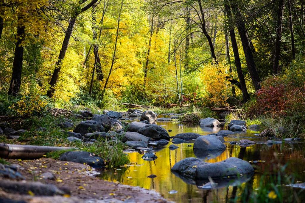 Fall in Oak Creek Canyon Sedona